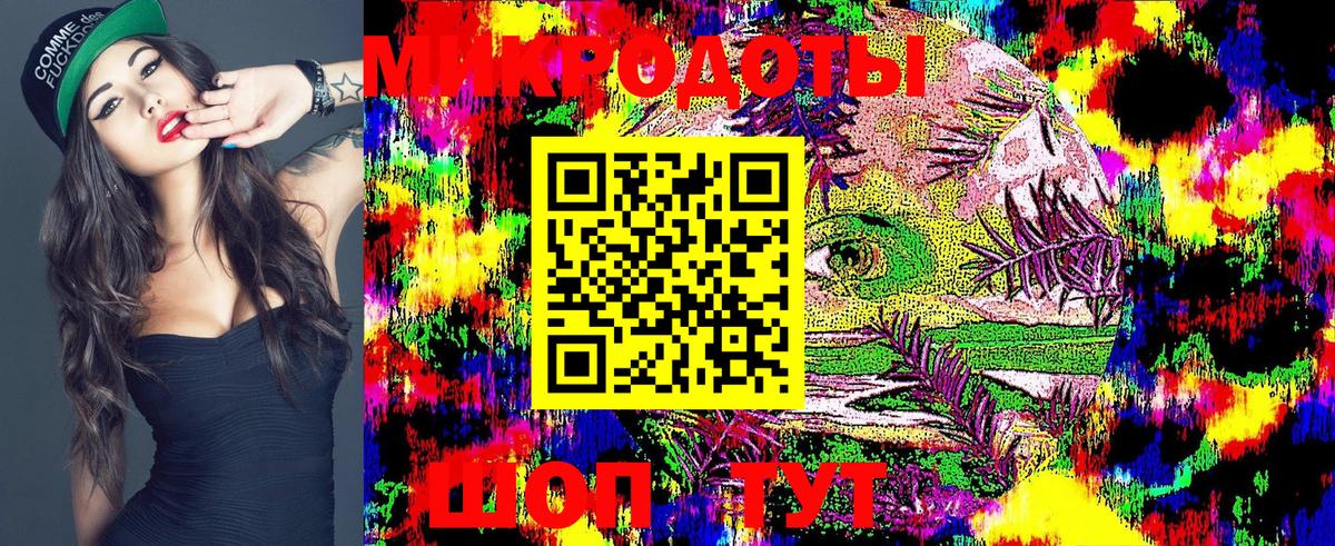 Псилоцибиновые грибы Psilocybe  Вход с VPN  Псилоцибиновые грибы мицелий  Соль-Илецк 