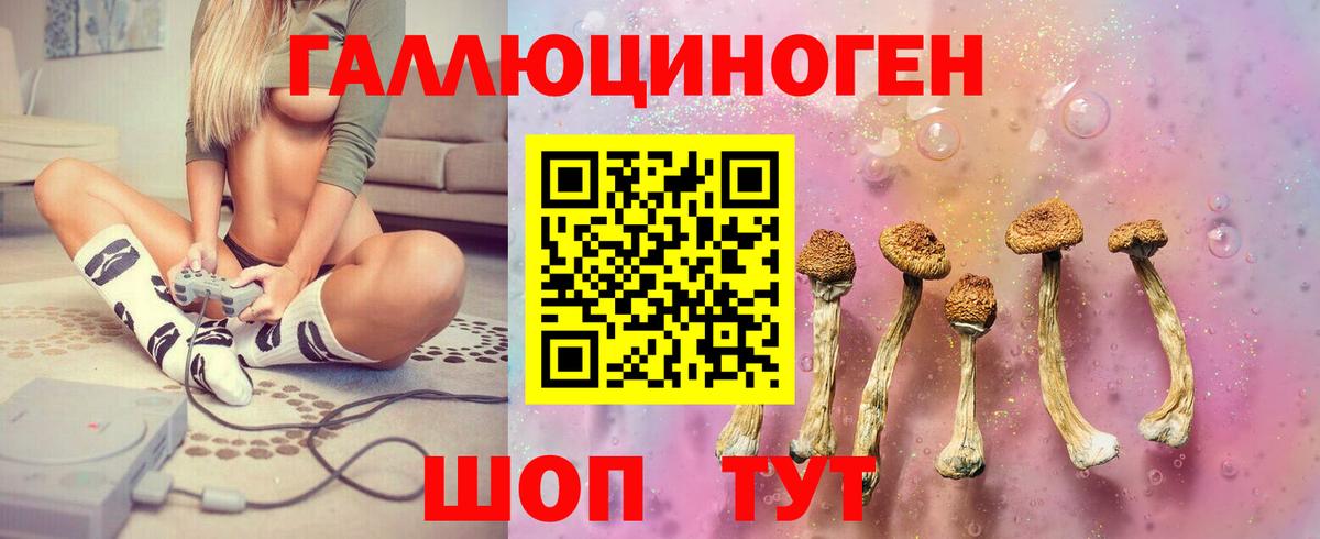 Галлюциногенные грибы прущие грибы Соль-Илецк
